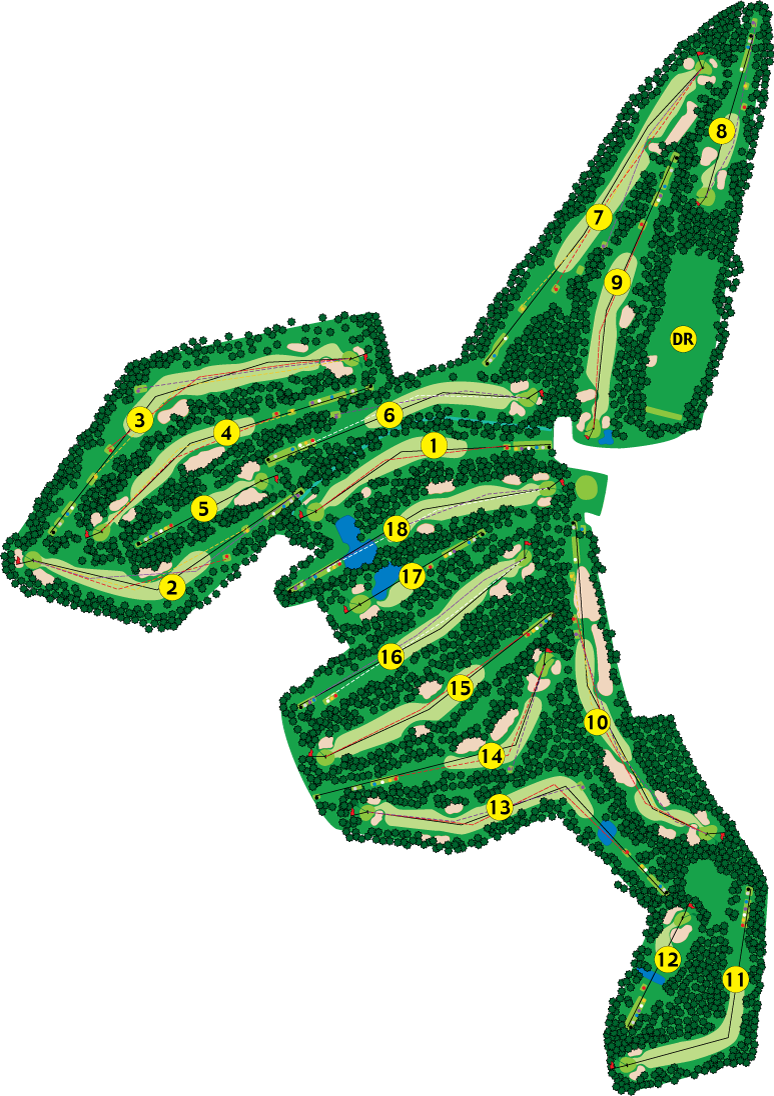 The Course Layout of Buena Vista Country Club including an aerial view of all golf holes and driving range.