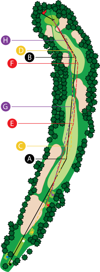 An aerial graphic of the tenth hole at Buena Vista Country Club