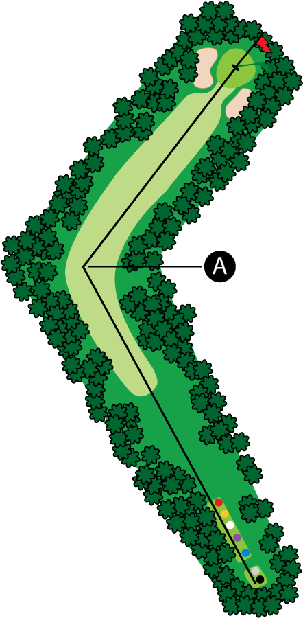 An aerial graphic of the eleventh hole at Buena Vista Country Club