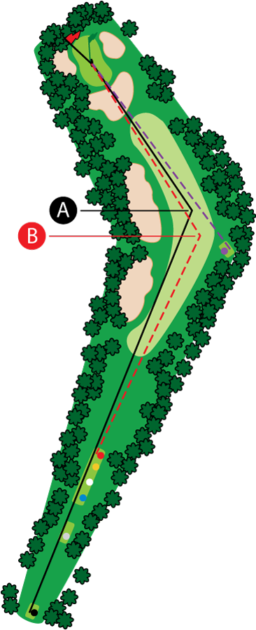 An aerial graphic of the fourteenth hole at Buena Vista Country Club