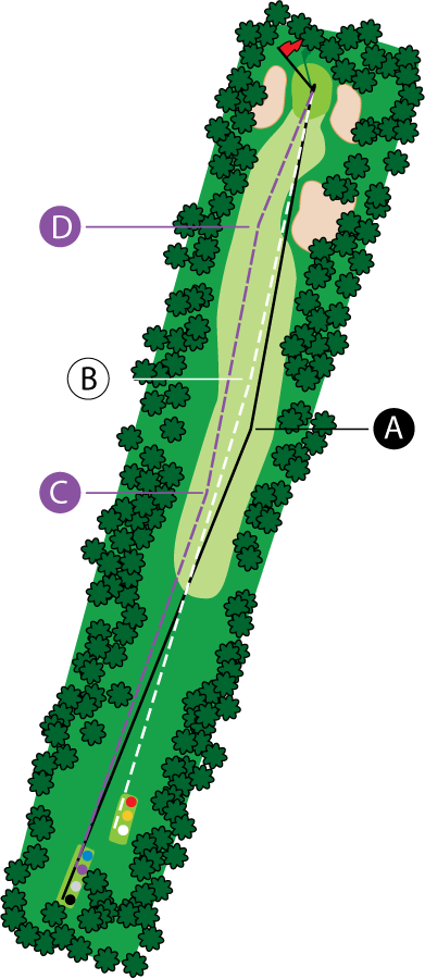 An aerial graphic of the sixteenth hole at Buena Vista Country Club