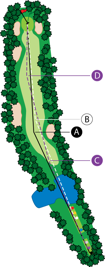 An aerial graphic of the eighteenth hole at Buena Vista Country Club