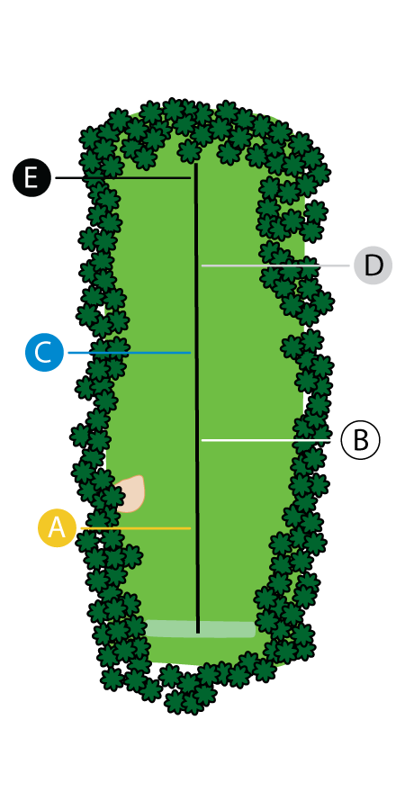 An aerial graphic of the grass driving range at Buena Vista Country Club