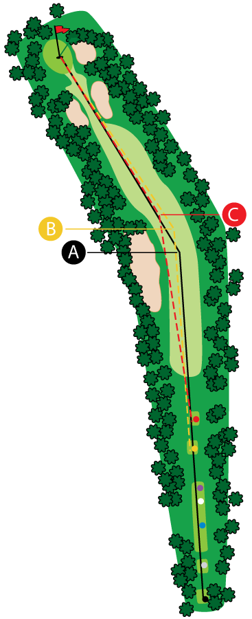 An aerial graphic of the fourth hole at Buena Vista Country Club