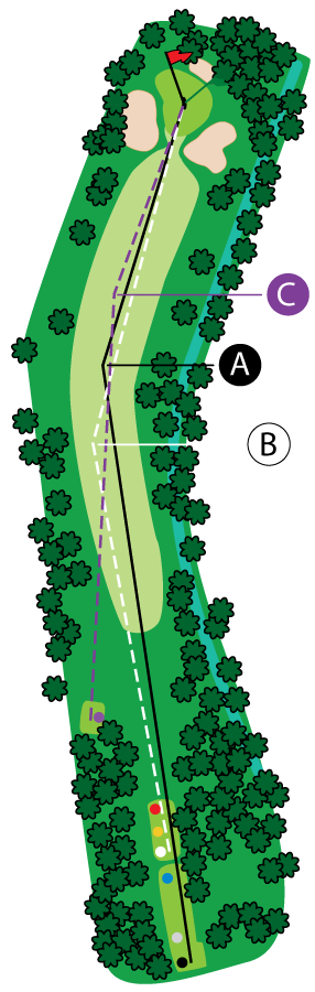 An aerial graphic of the sixth hole at Buena Vista Country Club