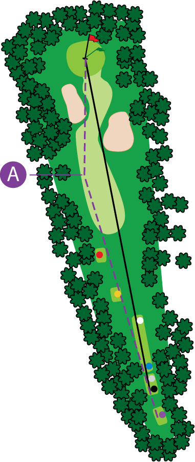 An aerial graphic of the eighth hole at Buena Vista Country Club