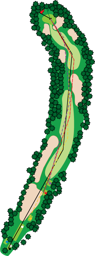 An aerial graphic of the tenth hole at Buena Vista Country Club