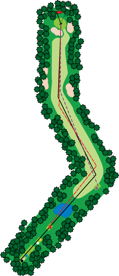 An aerial graphic of the thirteenth hole at Buena Vista Country Club