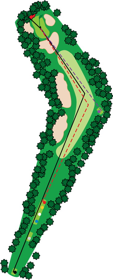 An aerial graphic of the fourteenth hole at Buena Vista Country Club