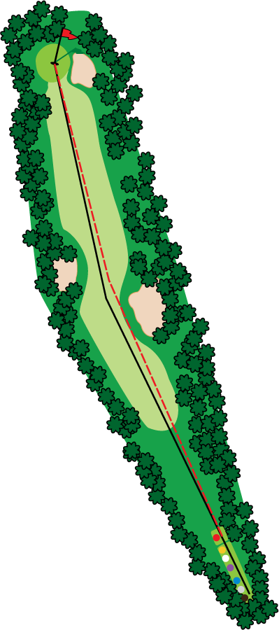 An aerial graphic of the fifteenth hole at Buena Vista Country Club