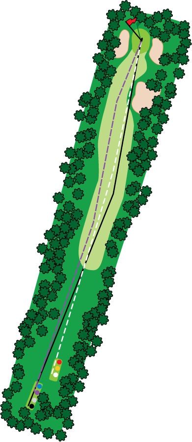 An aerial graphic of the sixteenth hole at Buena Vista Country Club