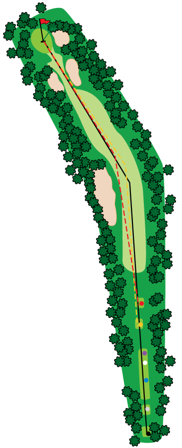 An aerial graphic of the fourth hole at Buena Vista Country Club