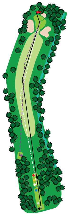 An aerial graphic of the sixth hole at Buena Vista Country Club