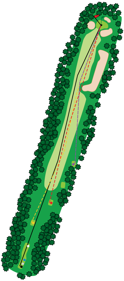 An aerial graphic of the seventh hole at Buena Vista Country Club