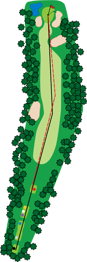 An aerial graphic of the ninth hole at Buena Vista Country Club