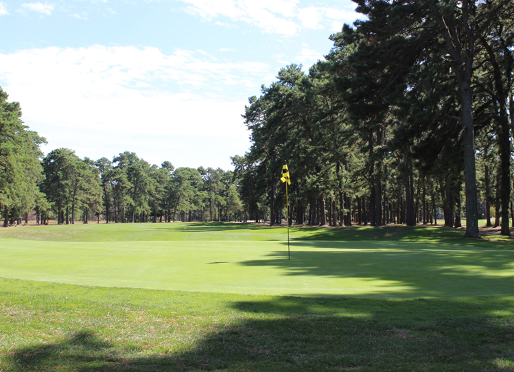 Back of the fourth green with a look at the flagstick on Hole No. 4 at Buena Vista Country Club.