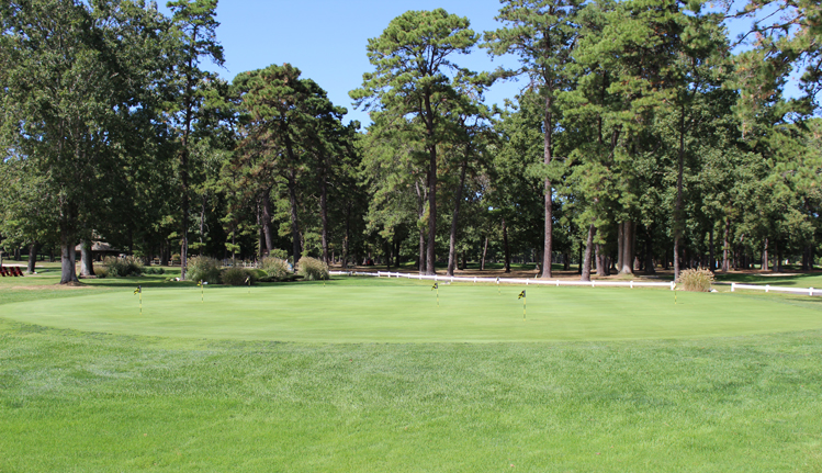 The putting and chipping green at Buena Vista Country Club. There are various holes cut on the green with flagsticks.