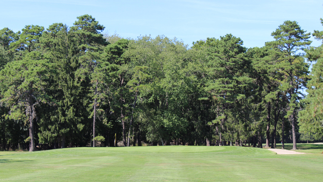 The approach down the fairway and green of the first hole at Buena Vista Country Club.