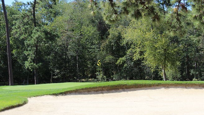 Right greenside bunker of Hole No. 15 facing towards the flagstick with somewhat-low-hanging pine tree branches.