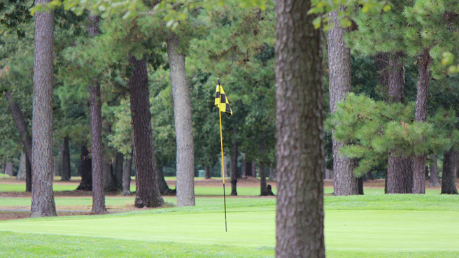 Side view from the right of the seventeenth green amidst the pine trees with a look to the flagstick and sixteenth fairway.