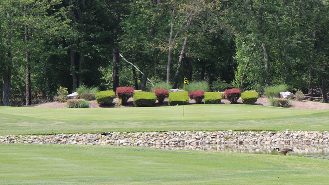 Fairway looking towards the pond short of the green on Hole No. 17. The pond is bordered by decorative rocks. Behind the green are colorful bushes in a flower bed.
