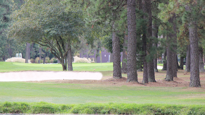Marsh pond at the bottom of the frame. Pine trees line the right treeline of the eighteenth hole. The right fairway sand bunker is behind a short tree. In the distance is the green and beyond that is the clubhouse.