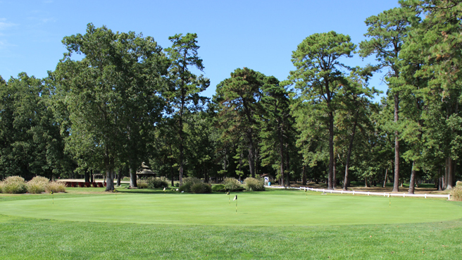 The putting green at Buena Vista Country Club. There are various small flagsticks cut into the green. There is a fringe around the green mown a little higher than the green.
