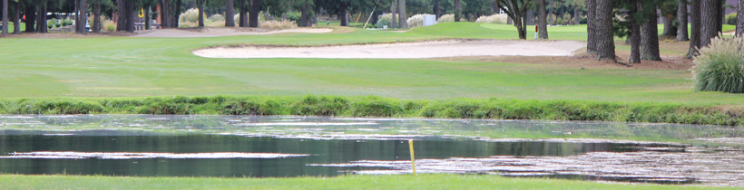 The 18th Hole Pond looking to the fairway at Buena Vista Country Club