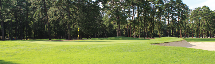 Hole No. 5 from the back of the green at Buena Vista Country Club. Pine trees can be seen in the background and on the right side of the hole. The left green side bunker guards the left side of the green.