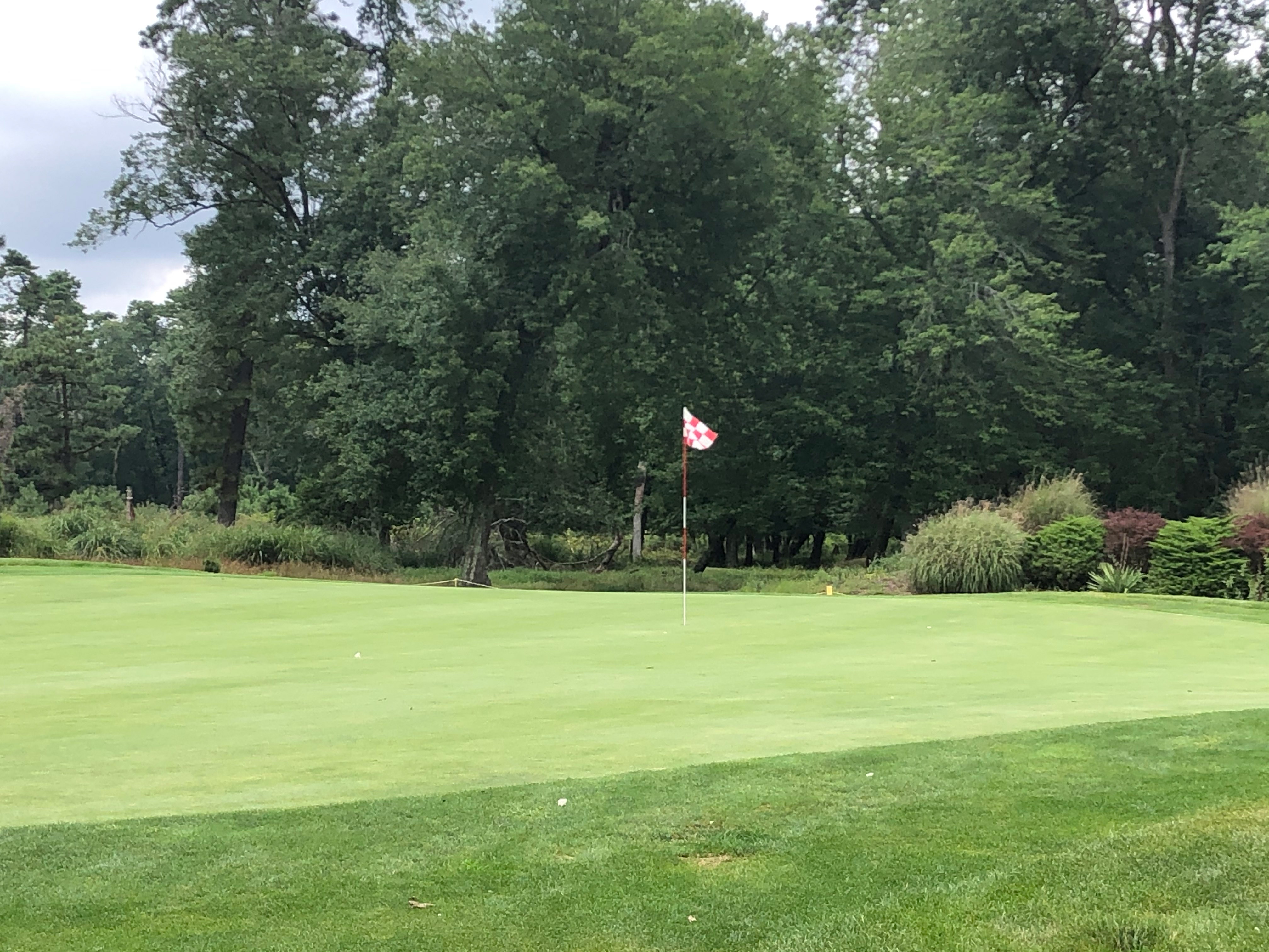 The seventeenth green at Buena Vista Country Club. A red and white checkered flag is positioned in the back of the green. Trees and a flower bed sit behind the green.